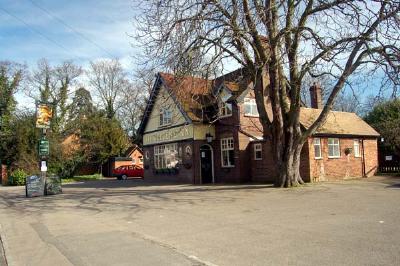 Golden Lion, Clifton